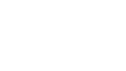 Pulpo - Inicio pagina de instalación de papel ahumado